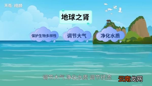 湿地的作用 湿地都有哪些作用