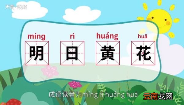 明日黄花的意思 明日黄花的意思是什么