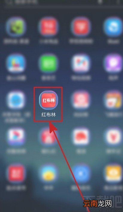 红布林APP关闭消息通知的方法