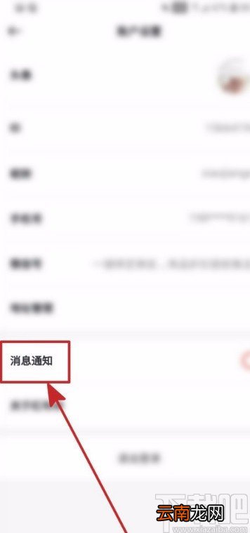 红布林APP关闭消息通知的方法
