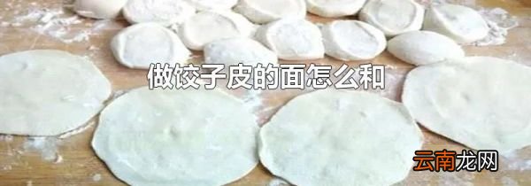 做饺子皮的面怎么和