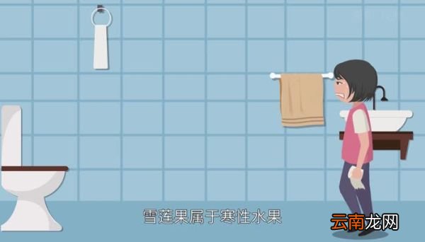 吃雪莲果的禁忌 雪莲果的属性
