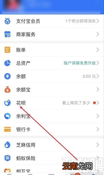 支付宝APP查看花呗账单明细的方法步骤