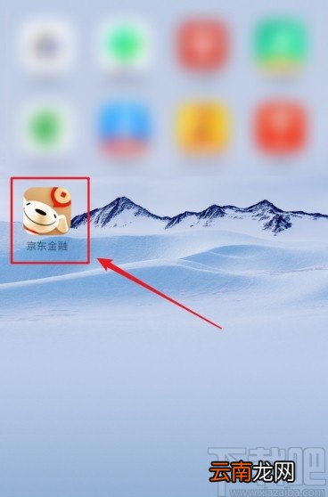 京东金融APP提前归还白条欠款的方法