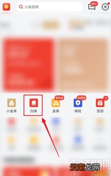 京东金融APP提前归还白条欠款的方法