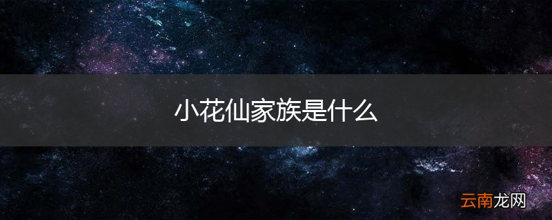 小花仙家族是什么