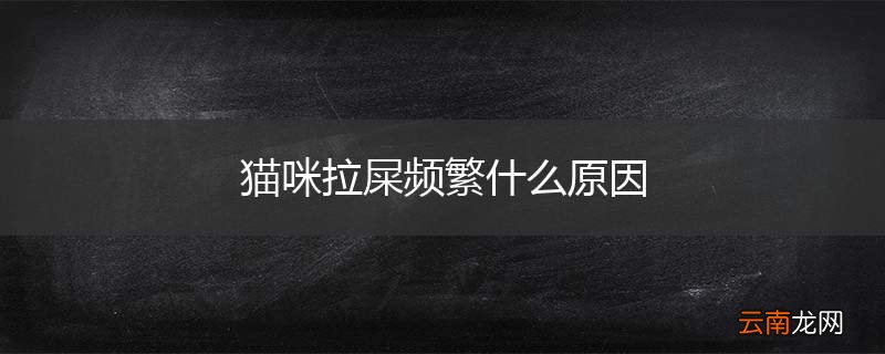 猫咪拉屎频繁什么原因
