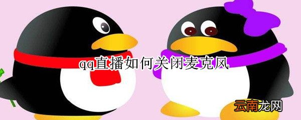 qq直播如何关闭麦克风