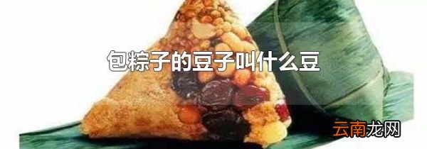 包粽子的豆子叫什么豆