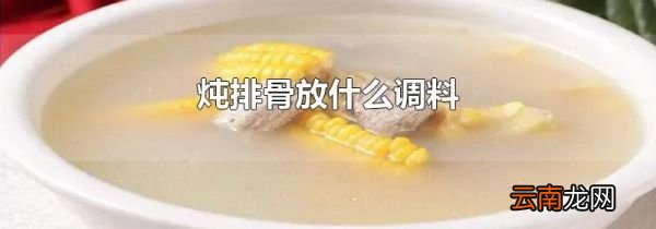 炖排骨放什么调料