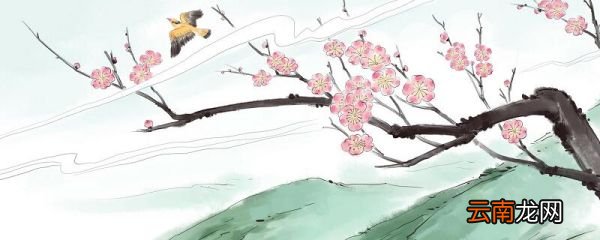 一个字的网名 推荐一些一个字的网名