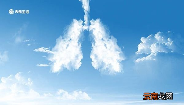 空气的成分 空气的成分有什么