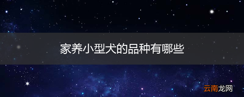 家养小型犬的品种有哪些