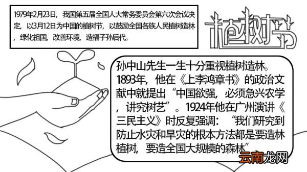 31植树节手抄报 31植树节手抄报的画法