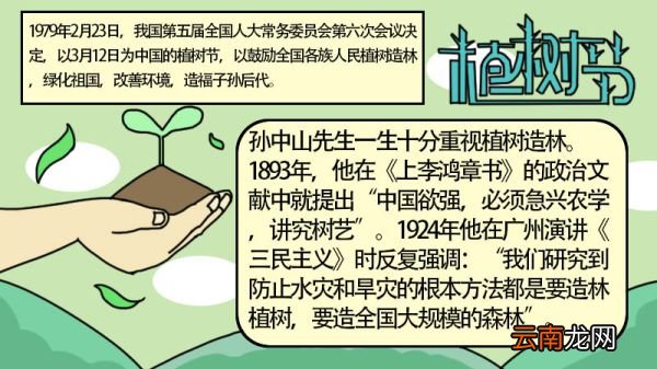 31植树节手抄报 31植树节手抄报的画法