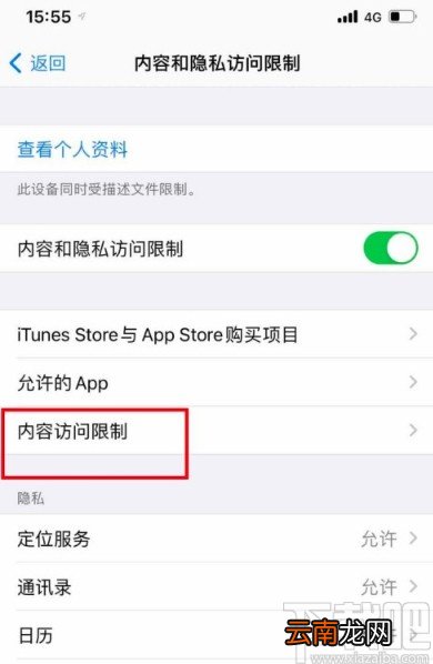 苹果手机隐藏桌面应用的方法步骤