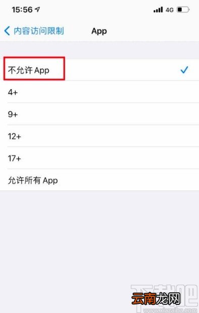 苹果手机隐藏桌面应用的方法步骤