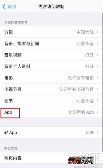 苹果手机隐藏桌面应用的方法步骤