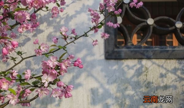 晚春的作者是谁 晚春的作者生平