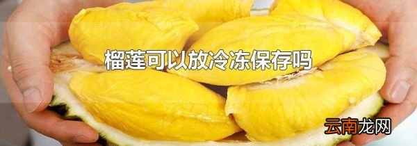 榴莲可以放冷冻保存吗