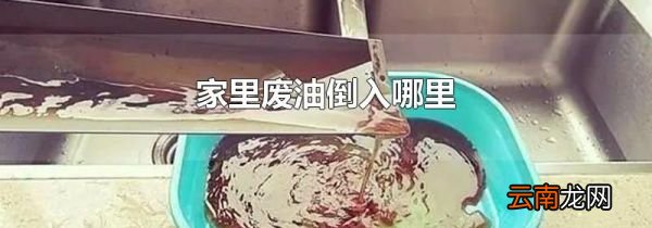 家里废油倒入哪里