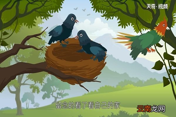 鸠占鹊巢的典故
