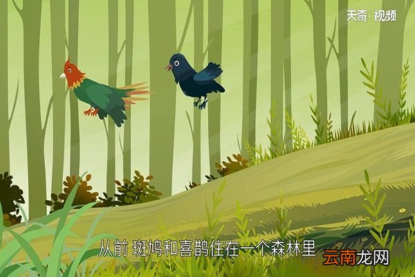 鸠占鹊巢的典故