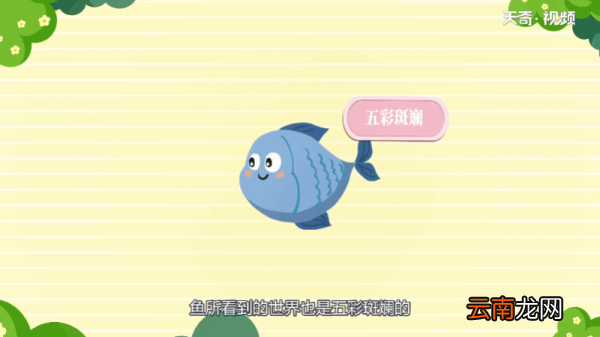 鱼是色盲吗 鱼是不是色盲