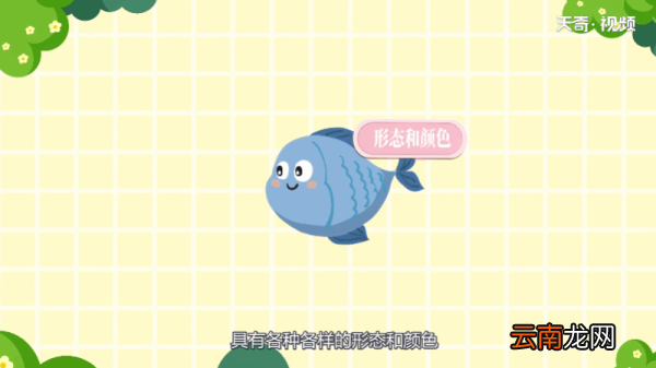 鱼是色盲吗 鱼是不是色盲