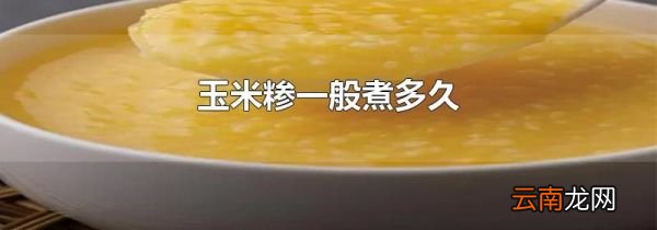 玉米糁一般煮多久