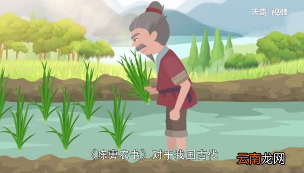 水稻栽培的第一部书是什么书 第一部有关水稻栽培技术的农书
