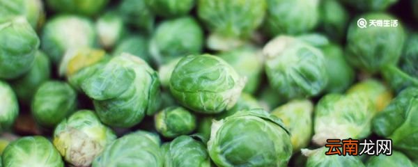 小大头菜叫什么名字 小大头菜是什么菜