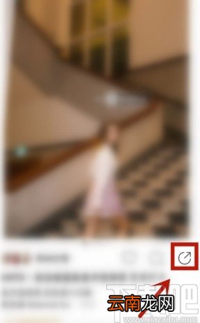 绿洲APP保存图片的方法步骤