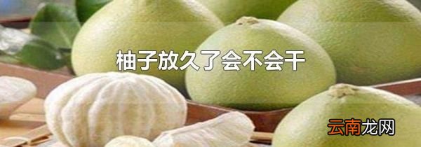 柚子放久了会不会干