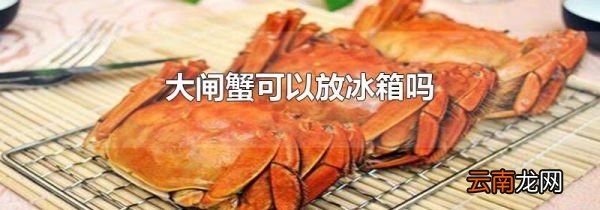 大闸蟹可以放冰箱吗