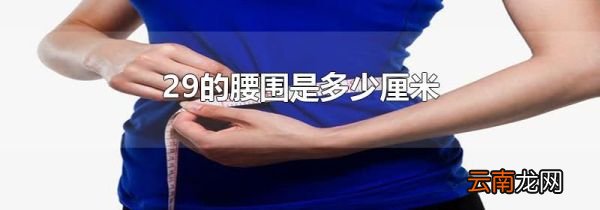 29的腰围是多少厘米