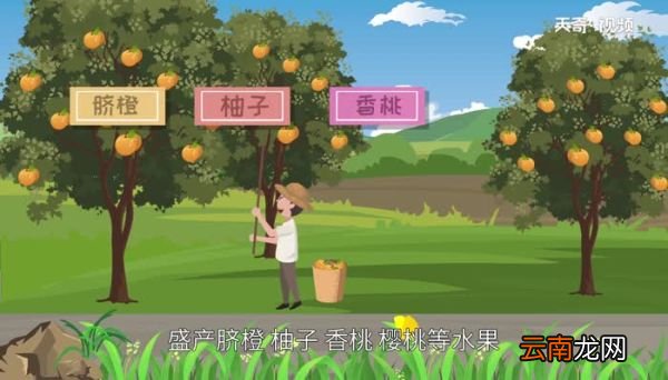 川r是哪里的车牌 川r是四川哪里车牌号
