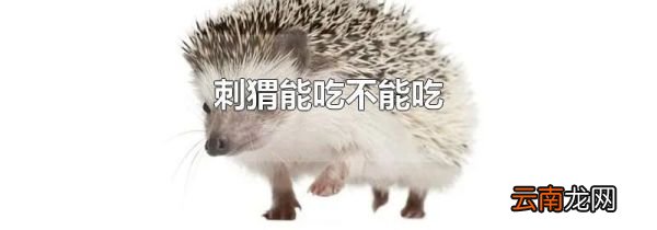 刺猬能吃不能吃