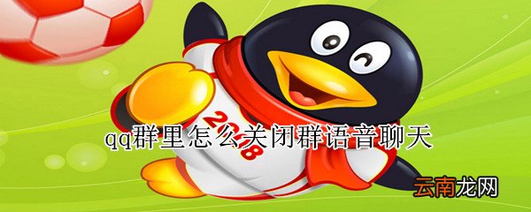 qq群里怎么关闭群语音聊天