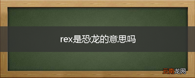 rex是恐龙的意思吗