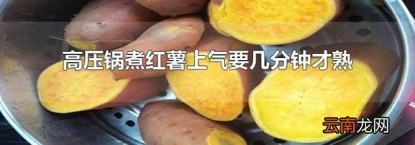 高压锅煮红薯上气要几分钟才熟