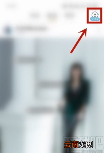 绿洲APP查看活跃值的方法