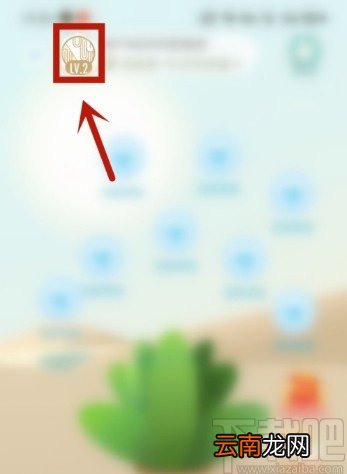 绿洲APP查看活跃值的方法