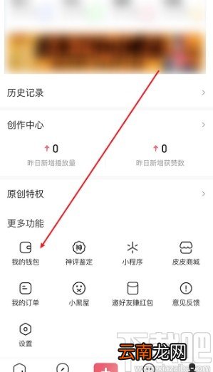 皮皮虾APP查看充值记录的方法步骤