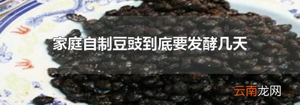 家庭自制豆豉到底要发酵几天