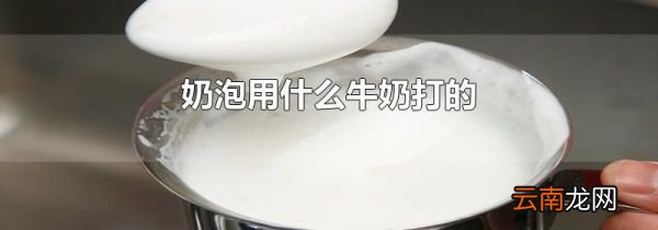 奶泡用什么牛奶打的