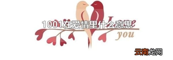 1001在爱情里什么意思