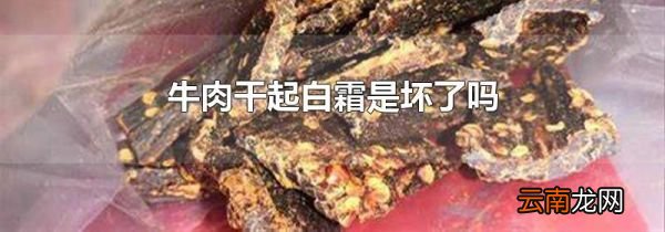 牛肉干起白霜是坏了吗