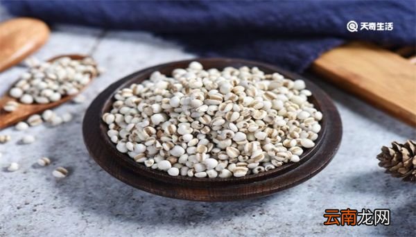 谷雨种薏仁米吗 谷雨可以种薏仁米吗