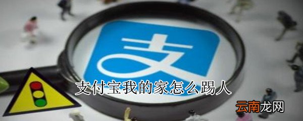 支付宝我的家怎么踢人